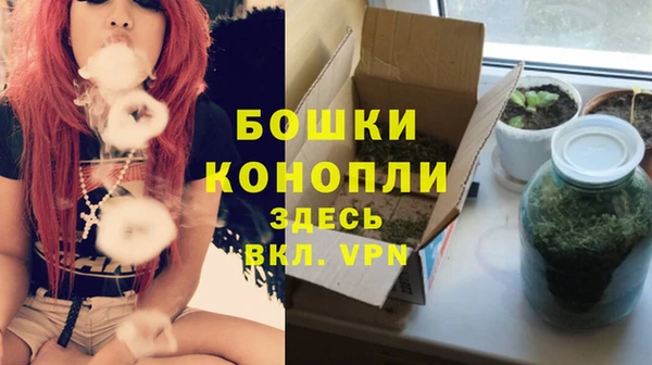 молекула духа Армянск
