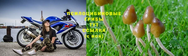 ALPHA-PVP Арсеньев