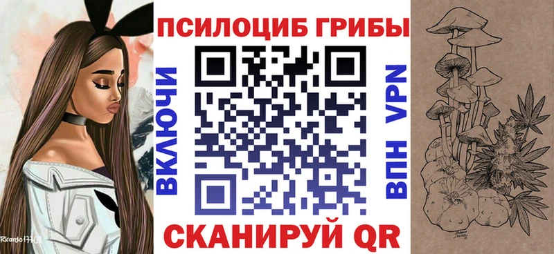 Псилоцибиновые грибы Psilocybe  Починок 